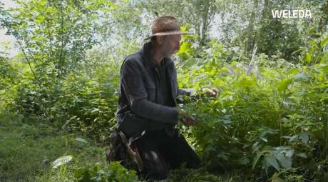 Jan Graafland Stinkende Gouwe